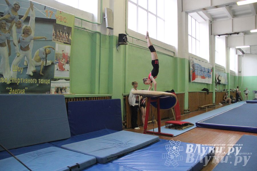 В Великих Луках прошел турнир по спортивной гимнастике (фото)