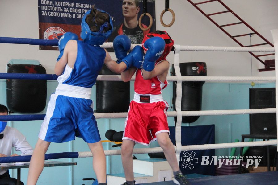 В Великих Луках завершился открытый турнир по боксу (ФОТО)