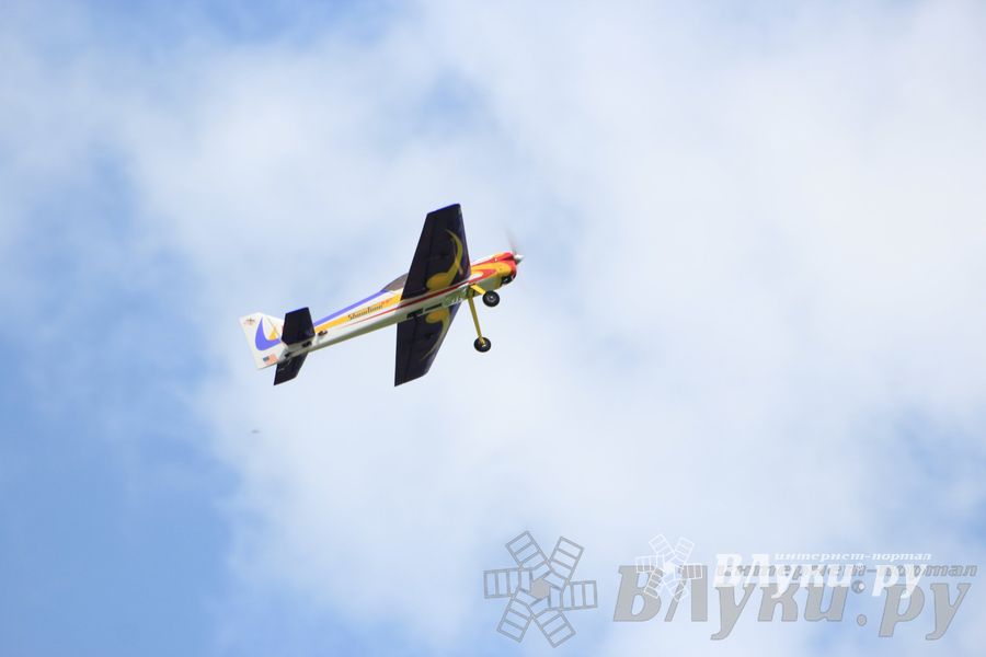 IV Фестиваль авиамодельного спорта России в классе радиоуправляемых моделей