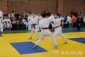 Великолучане стали победителями турнира по каратэ «Неприкосновенный запас, дети — Отчизны 2015» (фото)