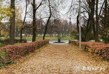 Прогноз погоды в Великих Луках на 21 октября