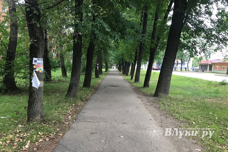 «Прибинтовали» скотчем (ФОТО)