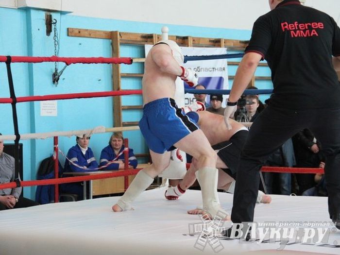 Чемпионат Псковской области по ММА