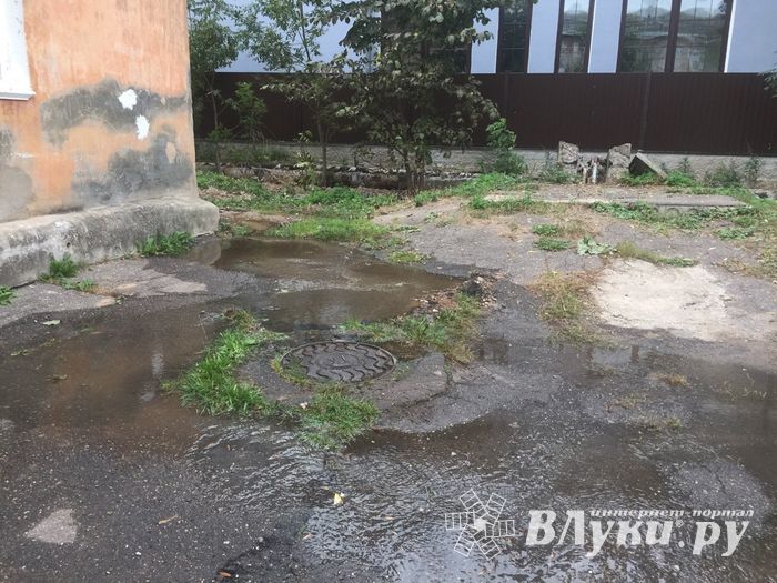 В Великих Луках забил «гейзер», по словам коммунальщиков, «рядовая ситуация» (ФОТО+ЗВУК)