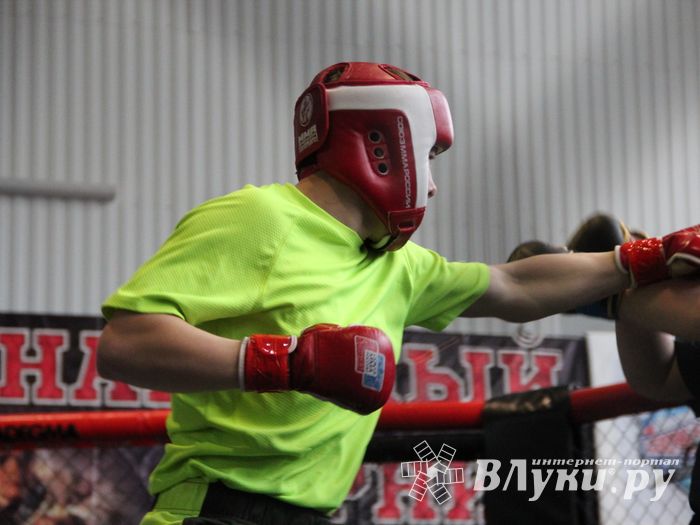 В Великих Луках прошел кубок по смешанному боевому единоборству (ФОТО)