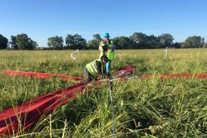 Автор фото Дарья Хвоинская