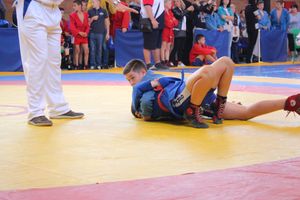 В Великих Луках проходит турнир по самбо (ФОТО)