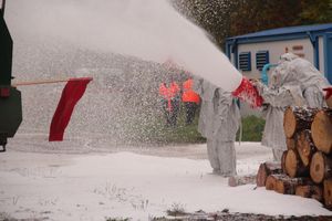 В Великих Луках тушили поезд (ФОТО)
