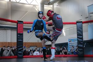 Фестиваль боевых искусств прошел в Великих Луках (ФОТО)