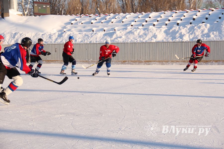Великолукский хоккей: много забитых шайб, немного потасовок и разбитых лиц (фото)