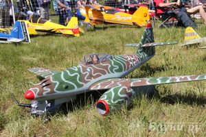 В Великих Луках прошел Фестиваль авиамодельного спорта (фото)