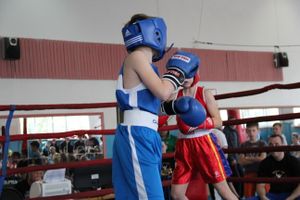 В Великих Луках прошло Первенство города по боксу (ФОТО)