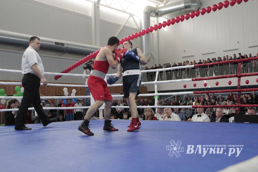 Матчевая встреча по боксу Великие Луки —Псков — Грозный (ФОТО)