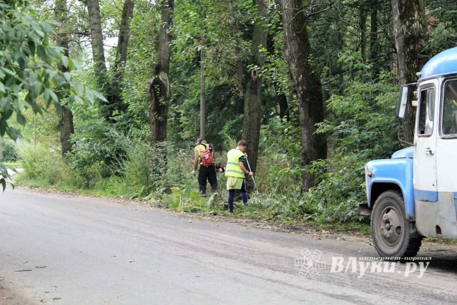 В Великих Луках косят (ФОТО)