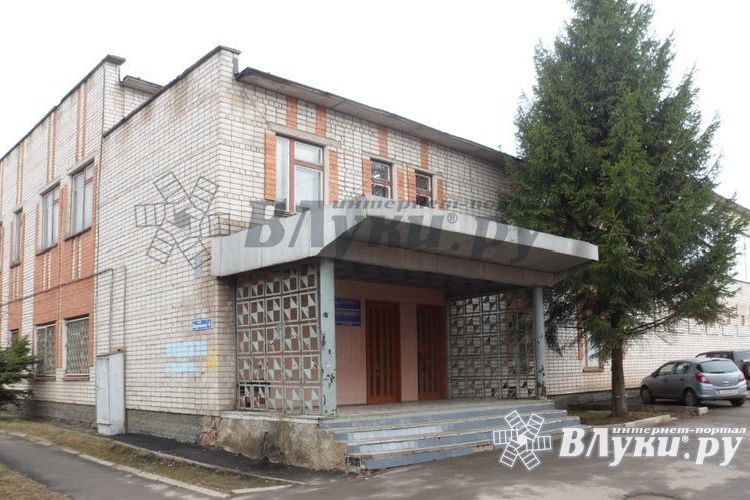 © ВЛуки.ру