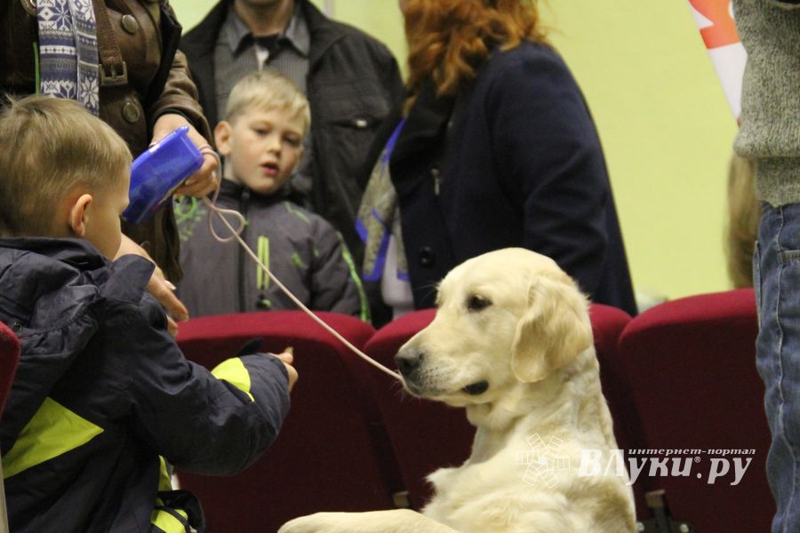 Всероссийская выставка собак «Великие Луки — 2014»