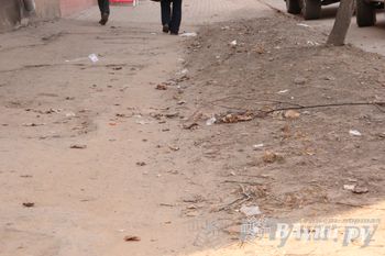 Великие Луки утопают в пыли и песке (фото)