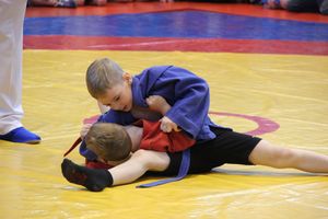 Открытый турнир по самбо «Новогодняя звезда-2019» прошел в Великих Луках (ФОТО)