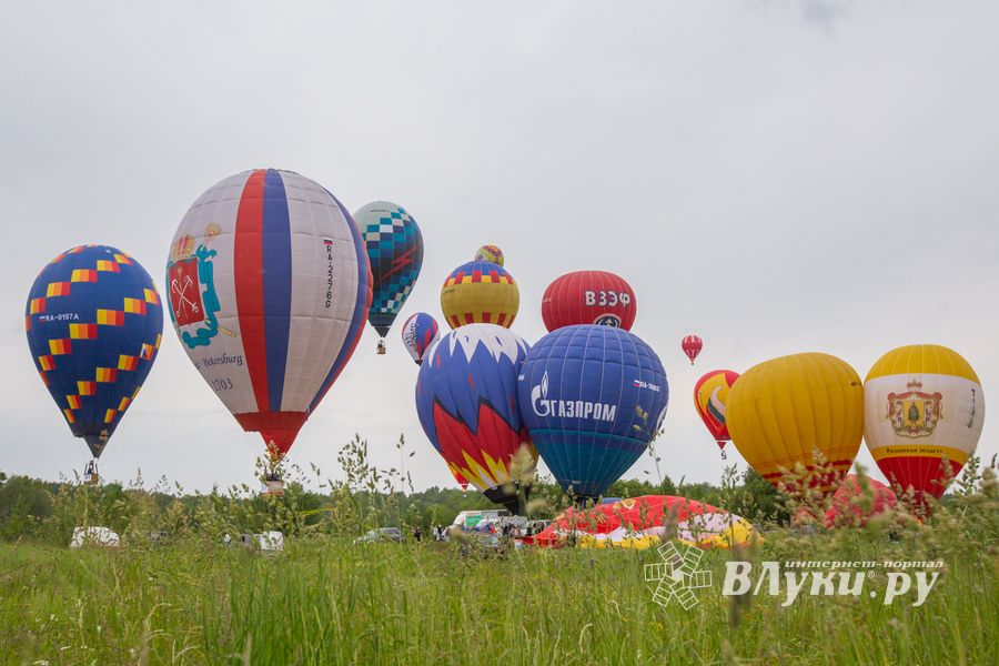 Фото: Александр Воробьёв
