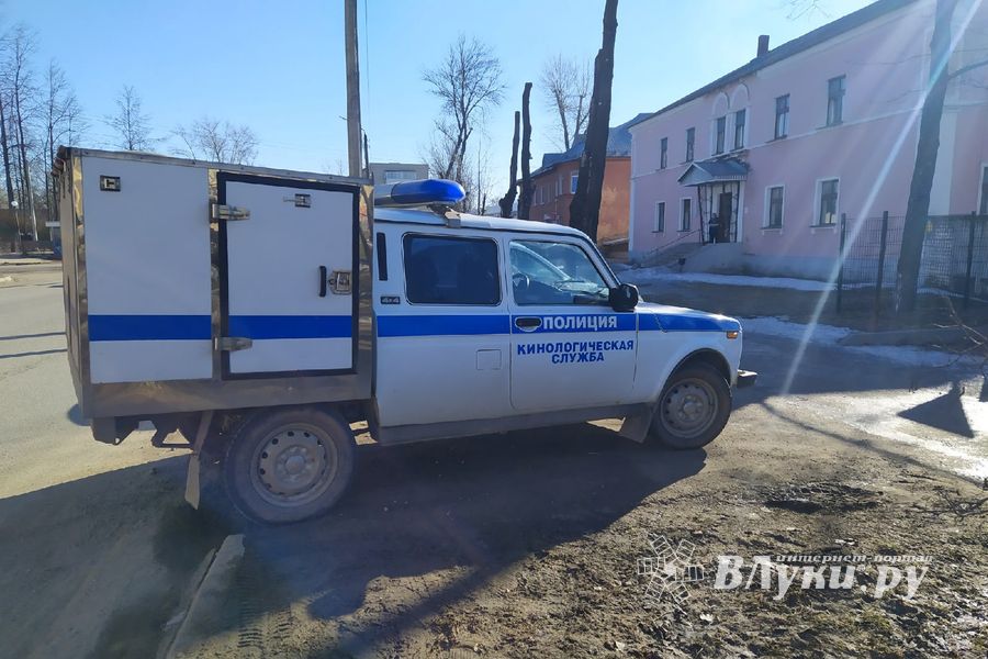 Учеников школы №6 в Великих Луках эвакуировали (ФОТО)