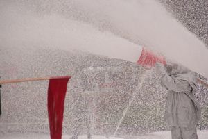 В Великих Луках тушили поезд (ФОТО)