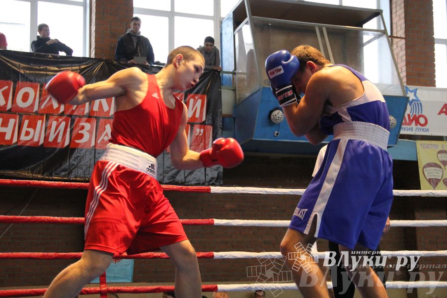 16-й Международный турнир по боксу (фото)