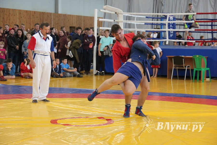 1-й Фестиваль боевых искусств состоялся в Великих Луках  (ФОТО)