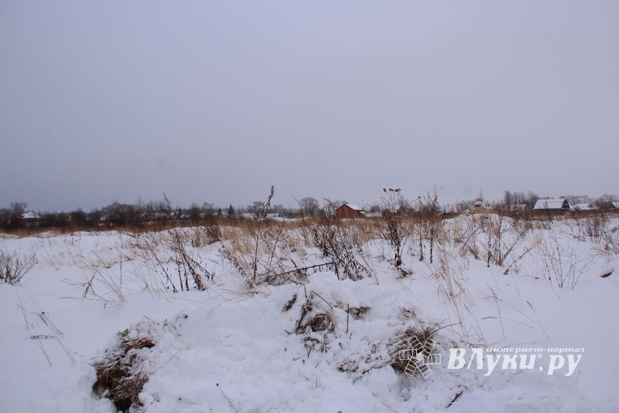 Губернатору не понравилось место для новой школы в Великих Луках (ФОТО)