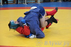 Первенство Псковской области по самбо