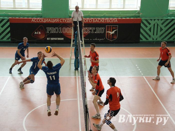 Финал чемпионата области по волейболу