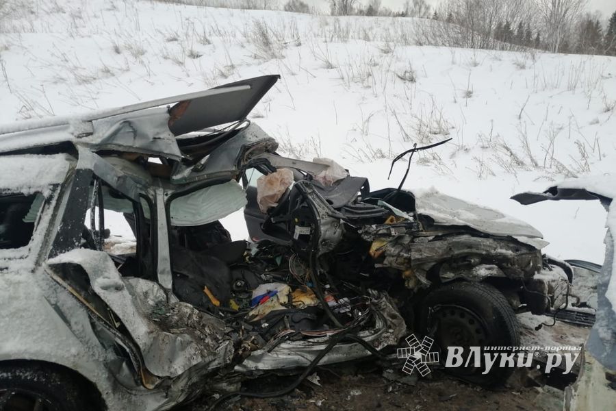 Смертельное ДПТ произошло в Куньинском районе (ФОТО)