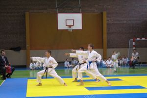 Кубок Псковской области по каратэ прошел в Великих Луках (фото)