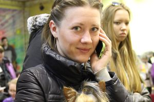 Всероссийская выставка собак «Великие Луки — 2014»