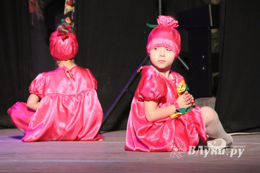 В Великих Луках отметили День матери (фото)