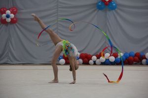 ​В Великих Луках прошли соревнования по художественной гимнастике (ФОТО)