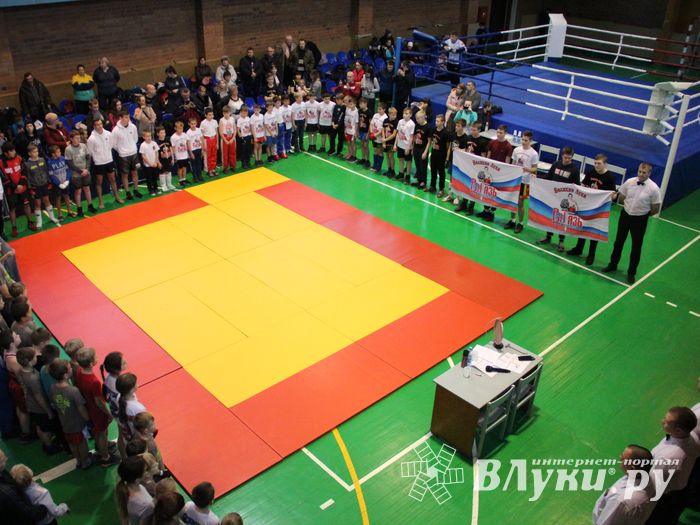 В Великих Луках прошли соревнования по кикбоксингу (ФОТО)