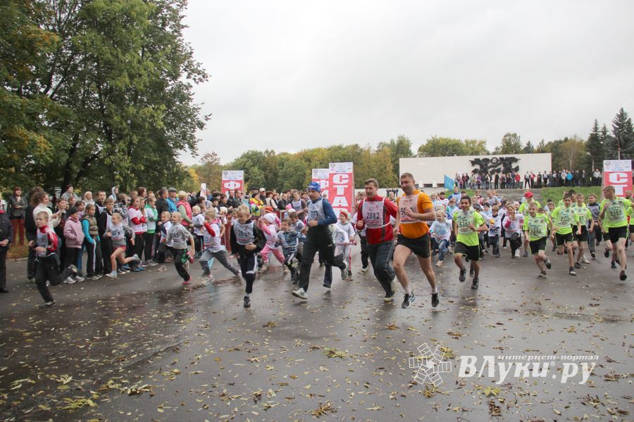 Кросс наций 2012