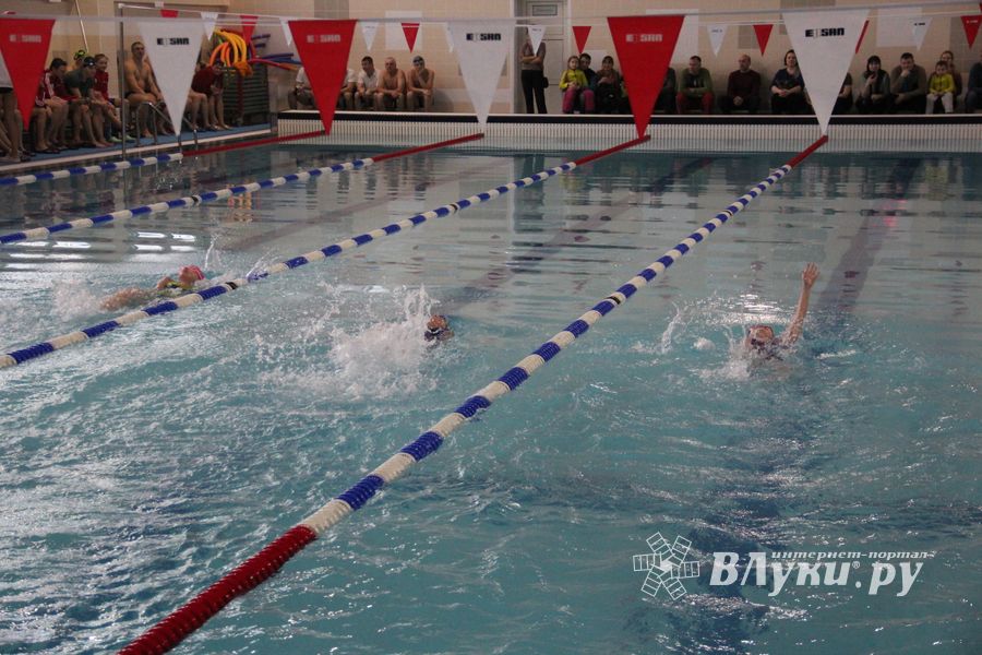 В Великих Луках прошло Первенство города по плаванию (ФОТО)