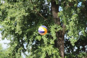 Открытие скейт-парка