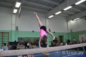 В Великих Луках прошел турнир по спортивной гимнастике (фото)