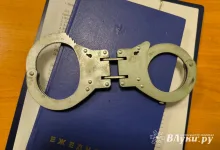 Мать, обвиняемая в убийстве троих детей, лишена родительских прав