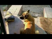 Импульс-ТВ: Промо-сюжет к программе «Глаза в глаза»