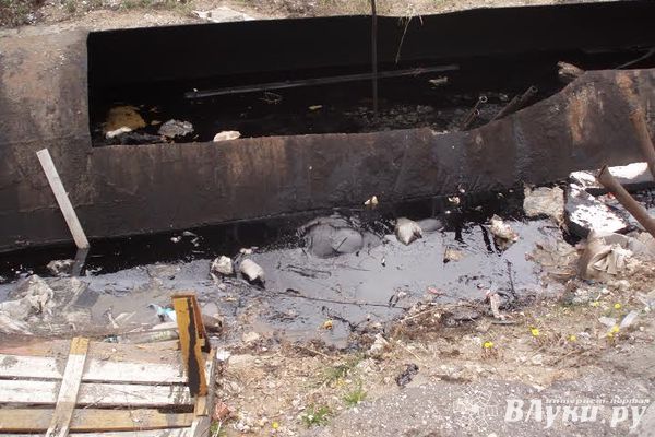 В Псковской области устанавливаются обстоятельства гибели женщины, обнаруженной в канаве с мазутом (фото)