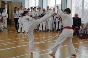 В Великих Луках прошел  турнир по Шотокан каратэ