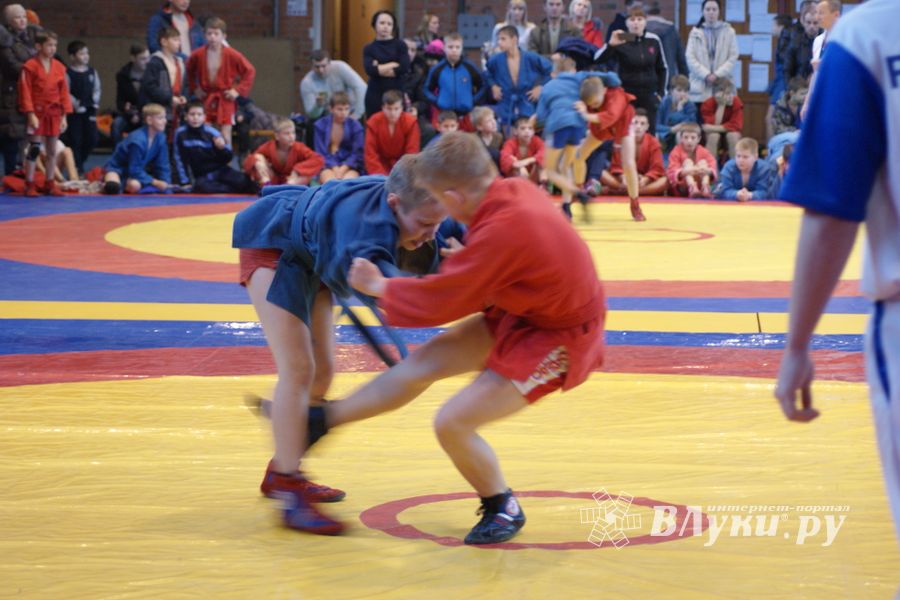 Великолучане завоевали призовые места на турнире по самбо «Память» (ФОТО)