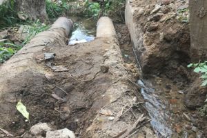 В Великих Луках забил «гейзер», по словам коммунальщиков, «рядовая ситуация» (ФОТО+ЗВУК)