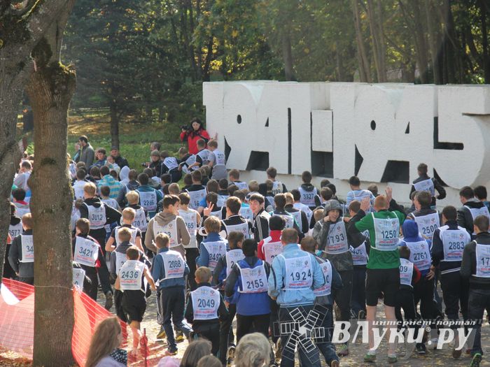 Кросс нации