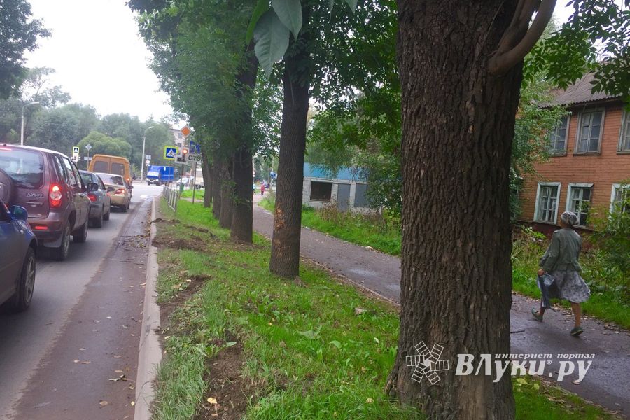 ДТП на пр-те Гагарина в Великих Луках (ФОТО)