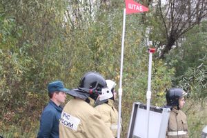 В Великих Луках тушили поезд (ФОТО)