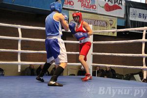 16-й Международный турнир по боксу (фото)